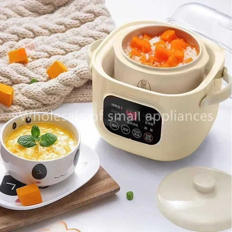 220V céramique électrique mijo - Baby Food Stew avis et prix