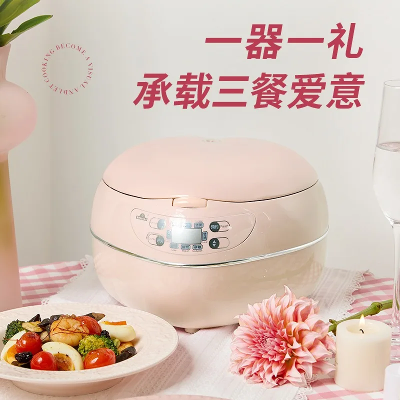 Cuiseur à riz rose en forme de - Baby Food Stew avis et prix