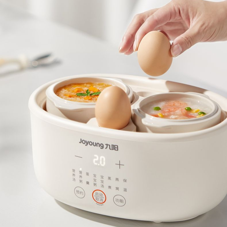 Marmite électrique pour faire  - Baby Food Stew avis et prix