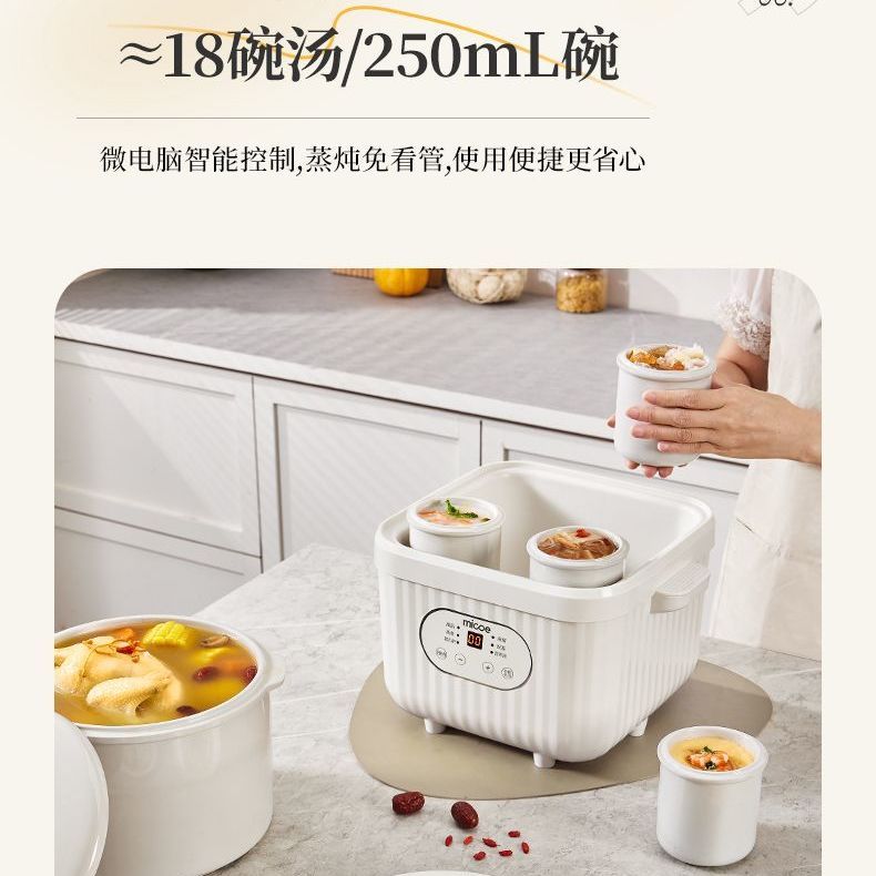 Marmite Électrique en Céramiqu - Baby Food Stew avis et prix