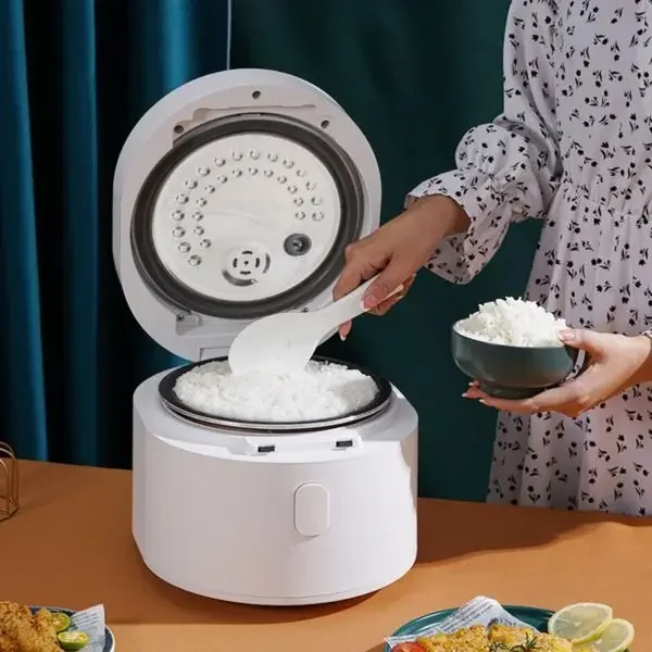 Cuiseur à riz intelligent 110  - Baby Food In Japan avis et prix