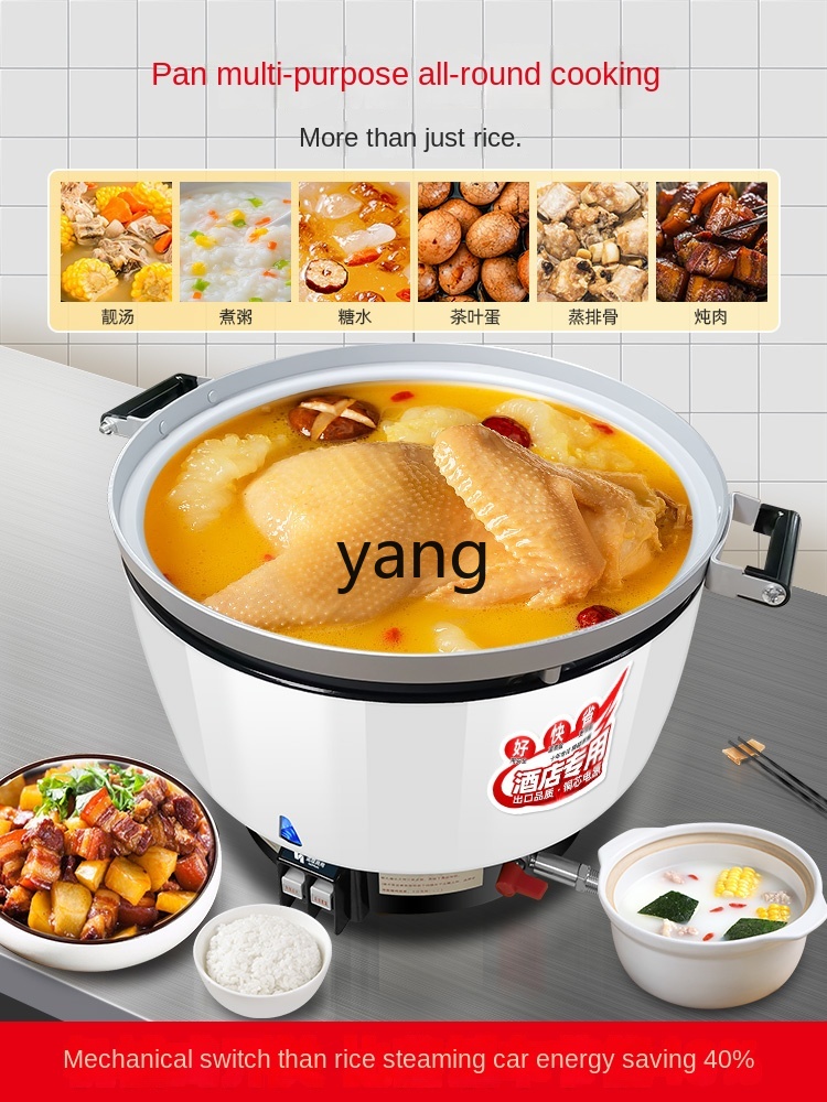 Autocuiseur à riz commercial à - Baby Food Stew avis et prix